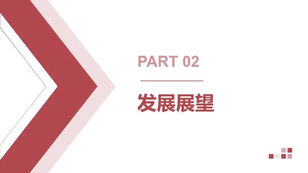 王勃華: 2025年光伏行業(yè)上半年發(fā)展回顧與下半年形勢(shì)展望