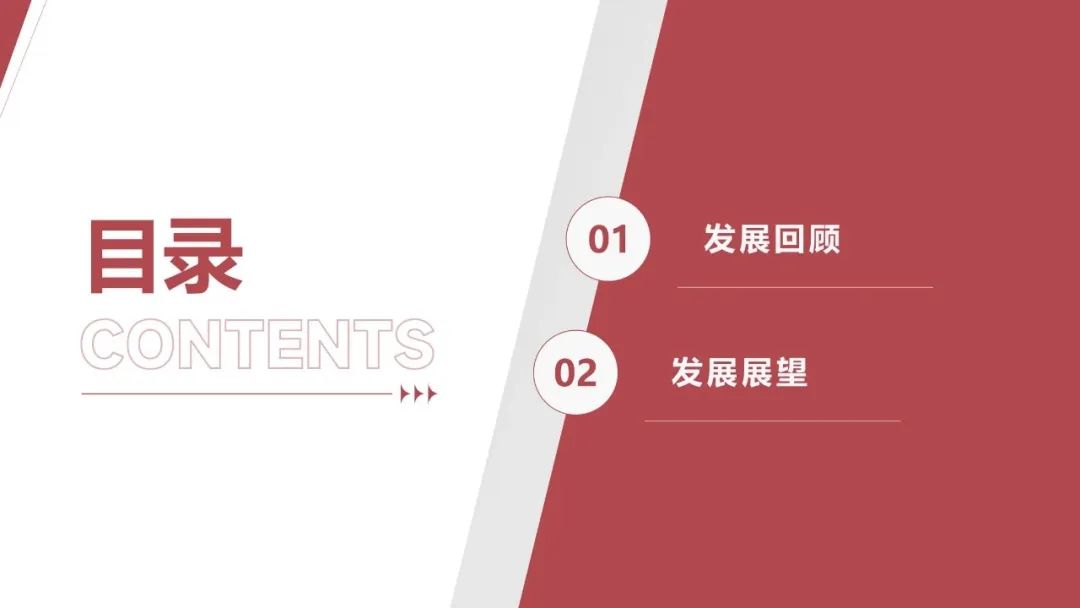 王勃華: 2025年光伏行業(yè)上半年發(fā)展回顧與下半年形勢(shì)展望