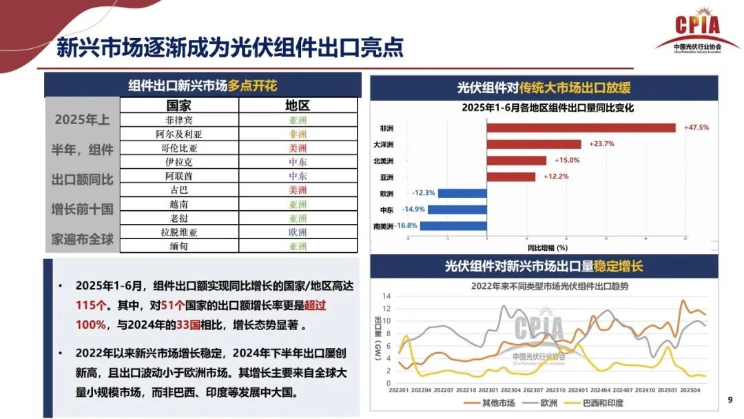 王勃華: 2025年光伏行業(yè)上半年發(fā)展回顧與下半年形勢(shì)展望